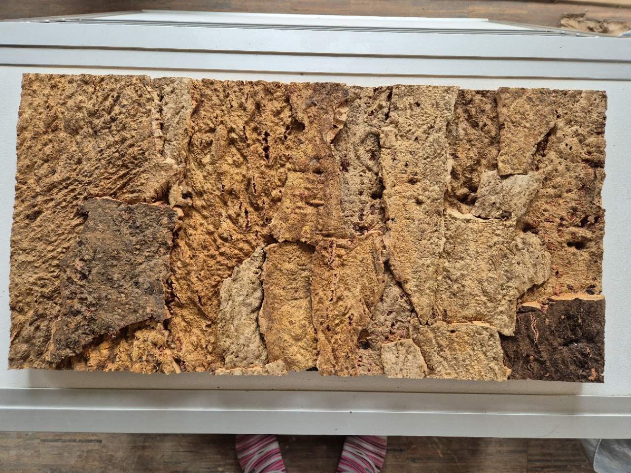 Korkrückwand Regenwald/Wald 60 x 30 cm